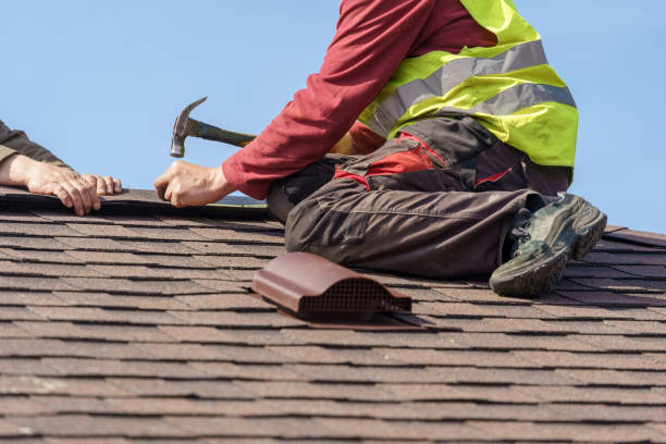 Gutter Installation and Roofing in Princeton, NC