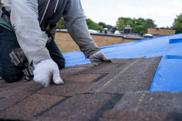 Best Storm Damage Roof Repair  in Prieton, NC