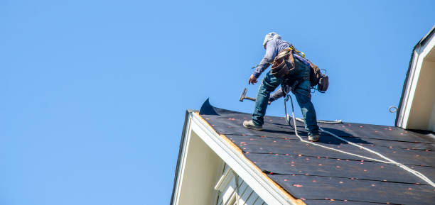 Best Roof Gutter Cleaning  in Prieton, NC